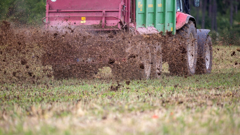 Ein Traktor zieht einen Miststreuer über ein Feld, um es zu düngen. In großen Teilen des Landkreises Meißen ist die Nitratbelastung des Grundwassers zu hoch.