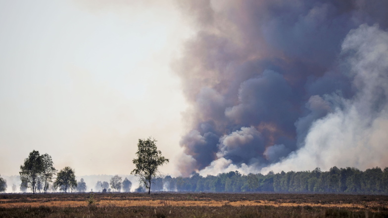 Kreis Meißen: Brände und Borkenkäfer haben Schneisen in die Wälder geschlagen