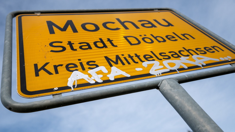 Schmierereien und Aufkleber finden sich auf mehr als 160 Verkehrszeichen im Gebiet der Stadt Döbeln. Ein Teil der Schilder muss ausgewechselt werden. Bei anderen werden Reinigungsversuche gestartet.