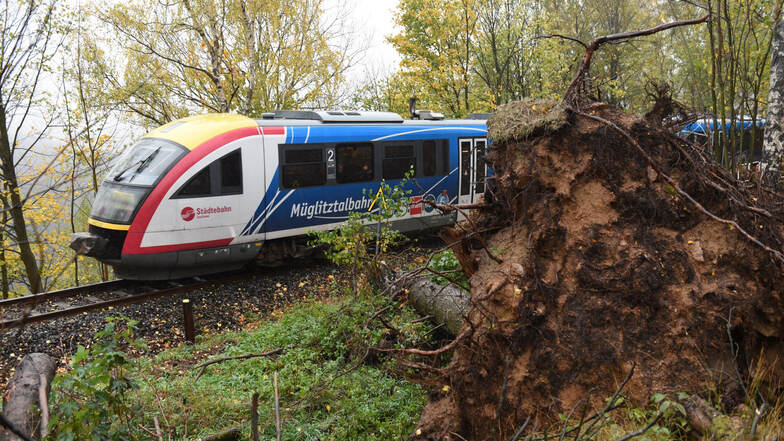 Schuld an der Einstellung des Betriebs der Städtebahn sollen Schäden an den Triebwagen sein, verursacht durch umgestürzte Bäume wie hier im Oktober 2018 auf der Strecke der Müglitztalbahn. Die Deutsche Bahn weist die Vorwürfe zurück.