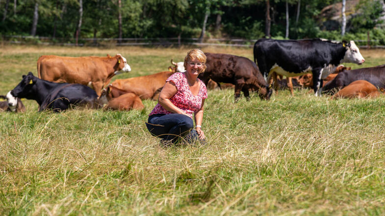 Ines Senger schaut nach ihren Tieren auf der Weide bei Leupoldishain.