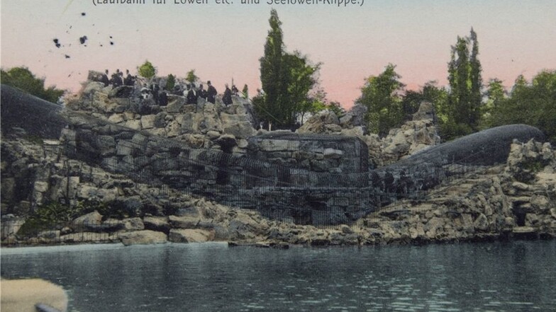 Hinter einem Teich wurde die Felsenlaufbahn für die Großkatzen gestaltet.