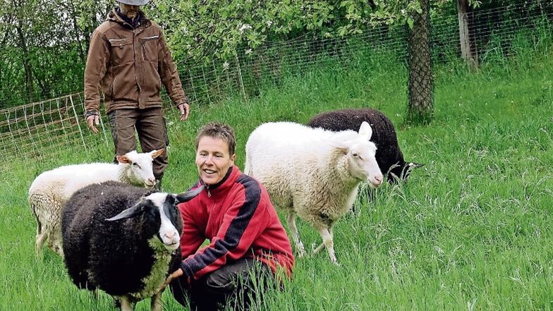 Marion Knutti vom Saultitzer Milchschafhof liebt diese Schafe wie ihre eigenen Kinder. Jetzt bietet sie ungewöhnliche Wanderungen mit den Schafen an.