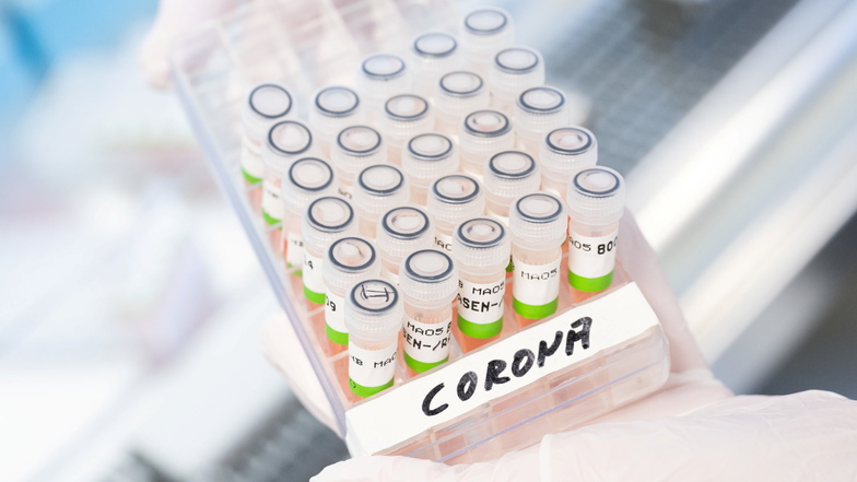 Aufbereitete PCR-Tests. 116 positiv auf Corona getestete Patienten liegen in den Kliniken im Landkreis SOE.