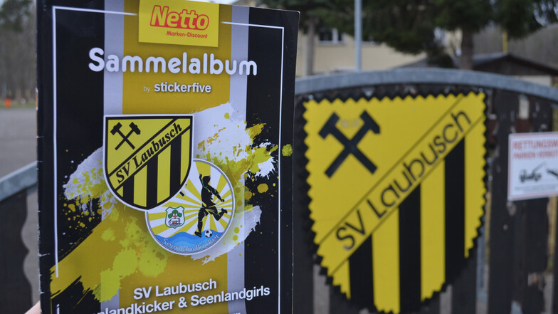 Der SV Laubusch hat kürzlich ein Sammelalbum herausgegeben, in dem alle Teams zu finden sind.
