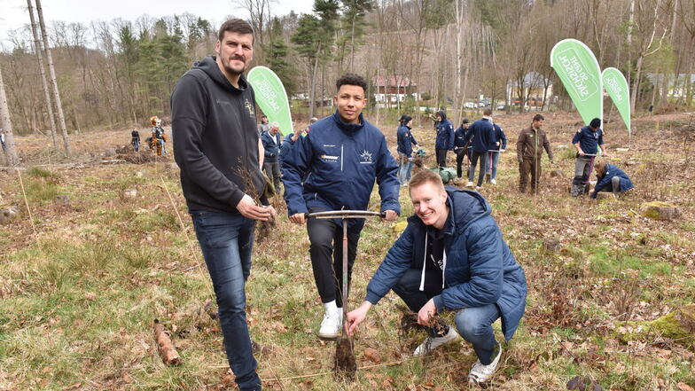 Klingenberg: Spitzensportler pflanzen neuen Wald