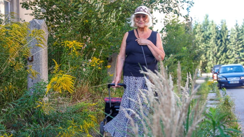 In der Gabelsberger Straße hat sich auf dem Gehweg ein "Biotop" entwickelt. Anwohner wie Barbara Weinkauf kommen fast nicht mehr durch.