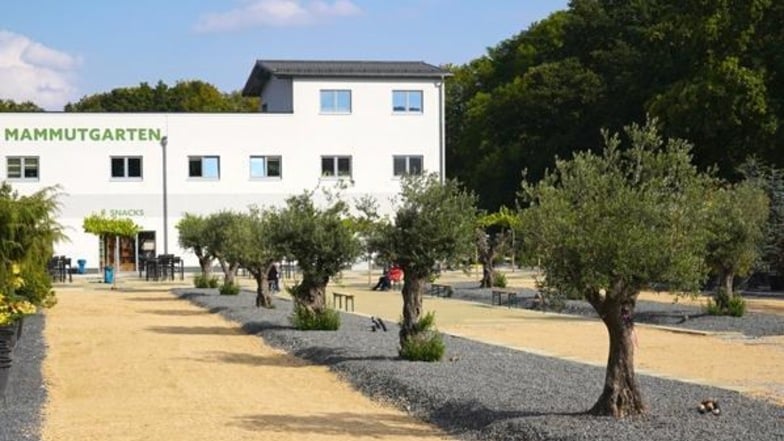 Auf dem 70.000 m² großen Gelände erwartet euch zudem ein wunderschöner Olivenhain mit über 80 Jahren alten Olivenbäumen sowie die berühmte „Old Lady Olivia“, mit über 300 Jahren der älteste Olivenbaum Sachsens.