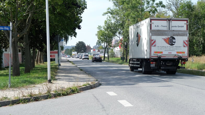 Ein sicherer Übergang für Fußgänger, der mit einer Bedarfslichtsignalanlage ausgerüstet ist, soll auf der Niederauer Straße an der Einmündung zum Albert-Mücke-Ring entstehen.
