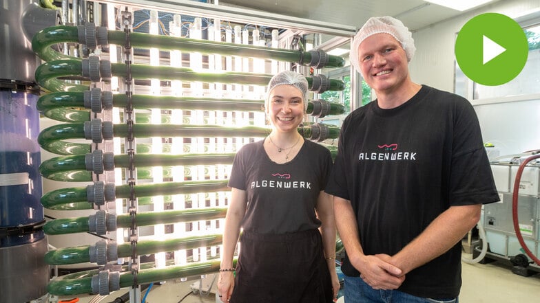 Algen aus dem Rohr: Gunnar Mühlstädt, Geschäftsführer vom Algenwerk in Dresden, und Antonia Bätzold vom Marketing stehen vor den Anlagen, in denen Algen wachsen. Die Spirulina gibt es frisch abgezapft in Gläsern - und bald auch als Wassereis.