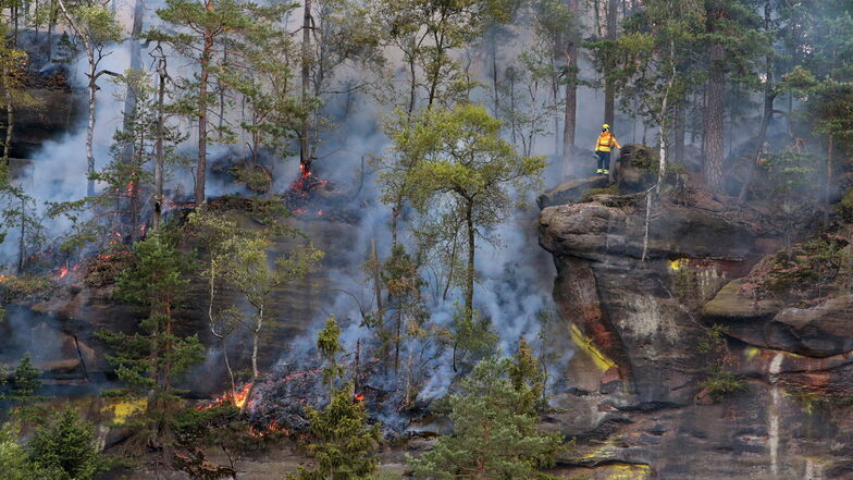 Brennende Felsplateaus nahe des Friensteins Ende Juli. Der aktuelle Waldbrand im Elbsandsteingebirge ist der größte seit mindestens 180 Jahren.