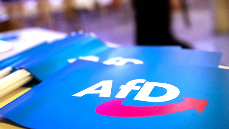 Die AfD liegt in einer Umfrage auf Platz eins in Ostdeutschland.