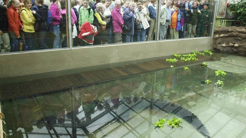 Im September 2002 drängeln sich die Zoobesucher vor dem neuen Gehege von Leistenkrokodil Max: 90 Quadratmeter Wohnfläche, davon 66 Quadratmeter beheizter Pool und 24 Quadratmeter Sonnenbank.