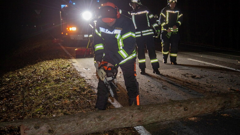 In der Nacht zum Sonnabend musste die Feuerwehr nach Schönbrunn ausrücken, um einen umgekippten Baum von der Straße zu räumen.