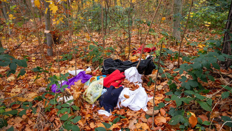 Unbekannte haben gebrauchte Kleidung und Müll in der Viehleite  nahe dem Pirnaer Einkaufszentrum illegal entsorgt.