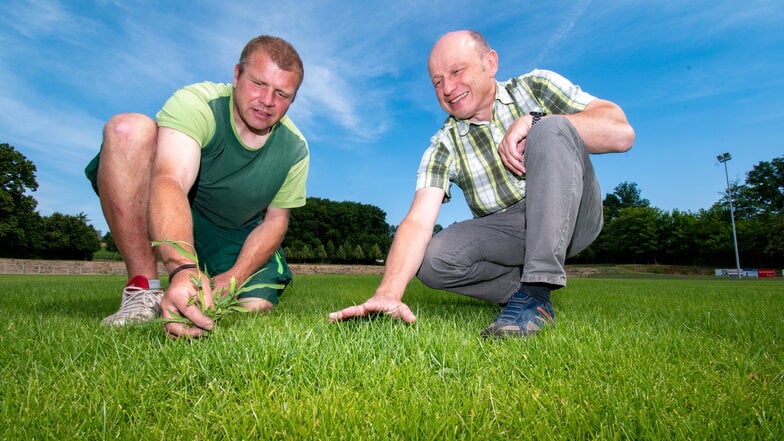 Der Leiter des Kultur- und Sportbetriebes Günter Roßberg (rechts) und Platzwart Renè Greif freuen sich, dass der Rasen auf dem Sportplatz Wiesenstraße so gut wächst.