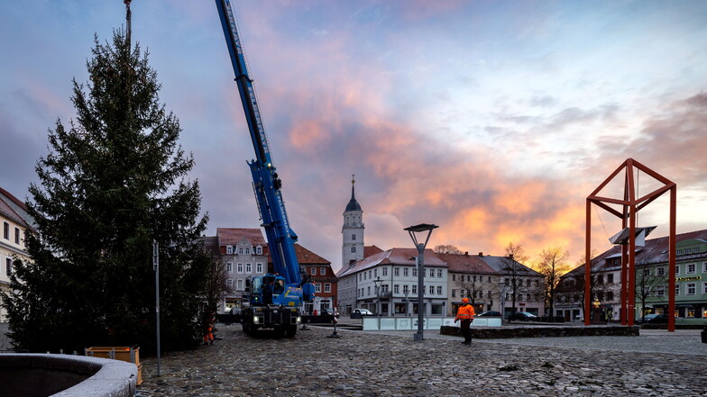 Bischofswerda: Der Altmarkt-Weihnachtsbaum ist da