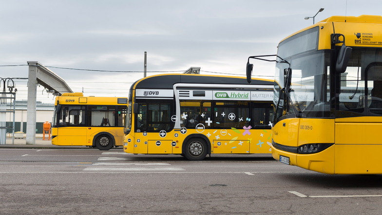 Im Spar-Gutachten für Dresdens Verkehrsbetriebe wird auch vorgeschlagen, dass weniger Busse und Bahnen durch Dresden fahren.