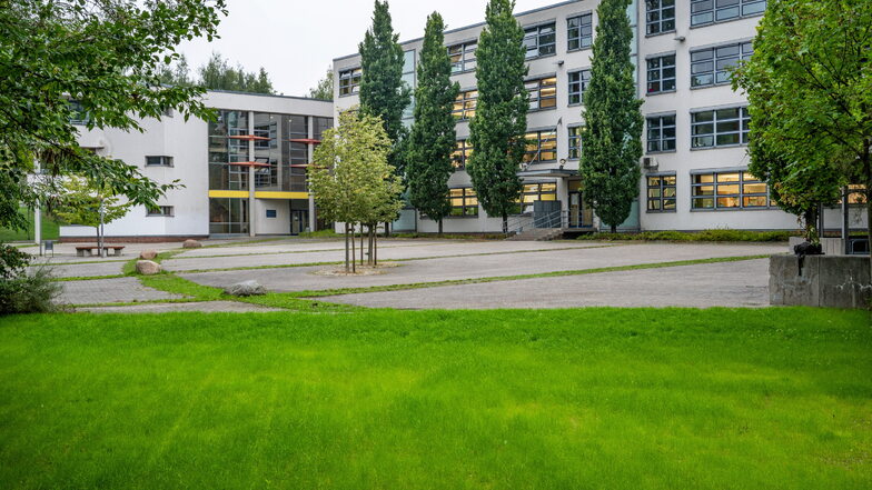Dort, wo sich einst der Teich des Martin-Luther-Gymnasiums Hartha befand, wächst jetzt saftiges Grün. Künftig soll die Rasenfläche noch gestaltet werden.