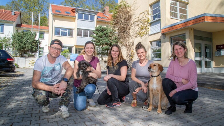 Das Team der Beratungsstelle der Diakonie St. Martin in Niesky: Denny Baxalary, Sandra Neumann, Dörte Bräuer, Johanna Reiter und  Claudia Jannack (v.l.) mit den beiden Hunden für tiergestützte Therapien.
