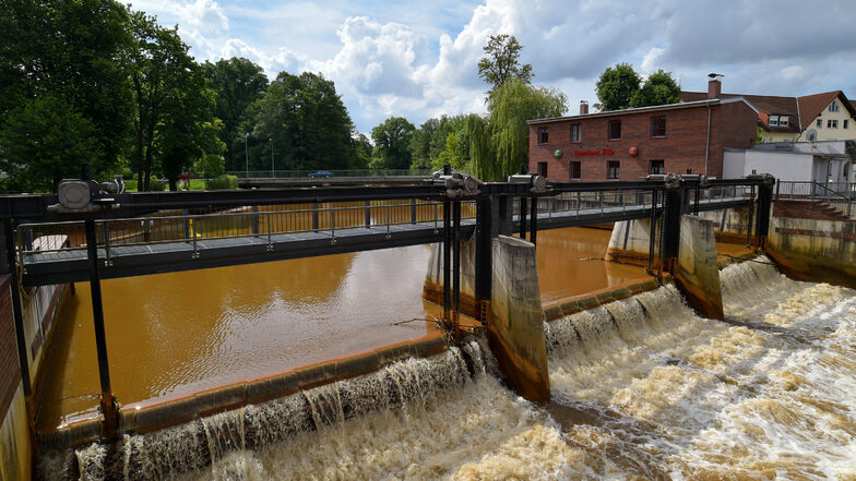 Nur dank des abgepumpten Grundwassers aus dem Lausitzer Braunkohlerevier blieb die Spree bis zum Starkregen Ende August ein Fluss. Sonst wäre sie zum Rinnsal verkommen. Fast 60 Prozent des Spreewassers kam aus Tagebauen. Mitunter ist das stark eisenhaltig