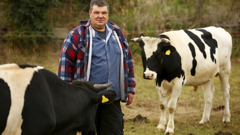 Wohin mit der Milch? Bio-Bauer Karl Oese weiß nicht mehr, wohin er die rund 300 Liter pro Tag liefern soll. „Ich kann den Kühen ja nicht befehlen, mit der Milchproduktion aufzuhören“, sagt er.