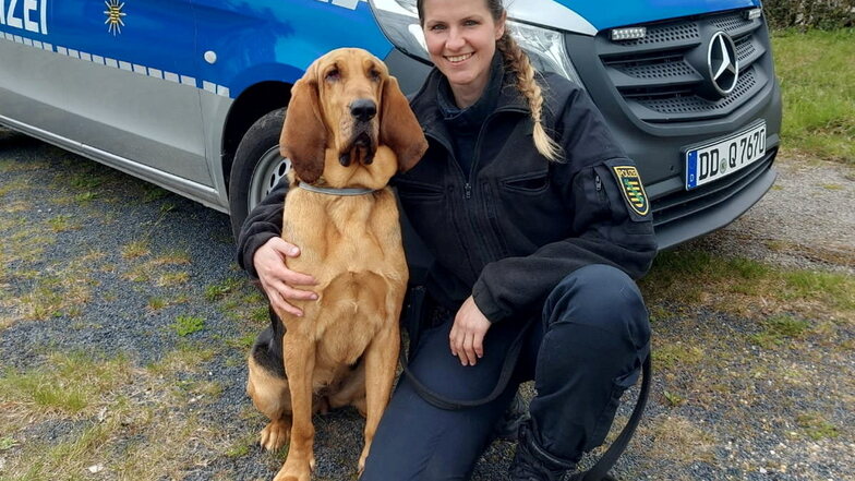 Polizeimeisterin Christin Fiddecke hat den vermissten Döbelner mit ihrer zweijährigen Bloodhound-Hündin Hazel gefunden.