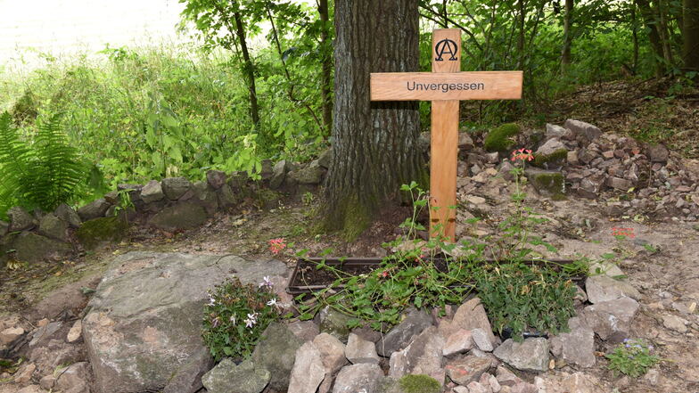 Im Lockwitztal bei Lungkwitz ruhten 74 Jahre lang zwei unbekannte Soldaten. Das Bild entstand im Sommer 2019.