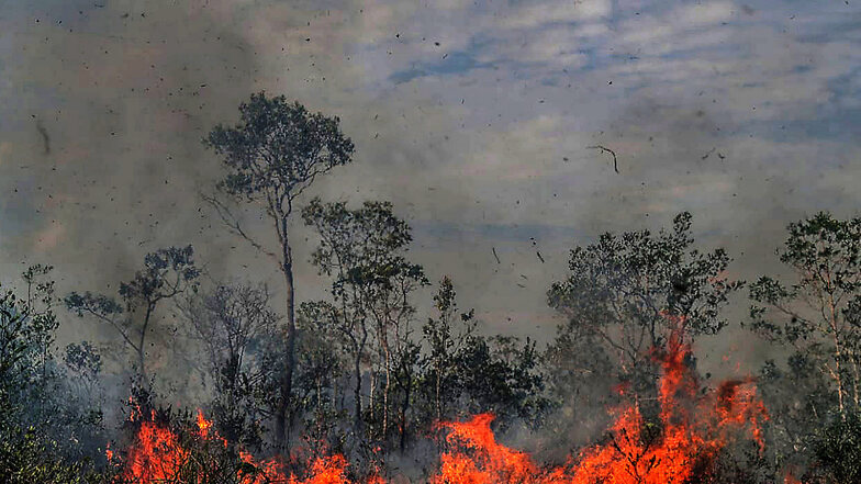 Brasilien verbietet Feuer für 60 Tage