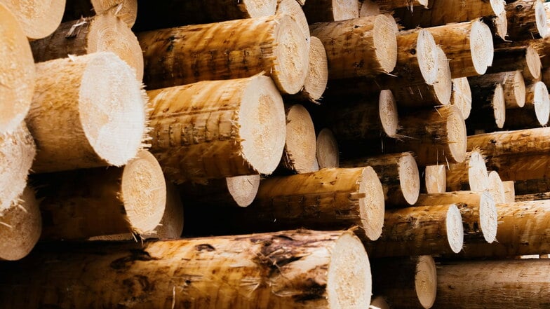 Viele auf Holz angewiesene Handwerker in Sachsen sind unternehmerisch und existenziell gefährdet.