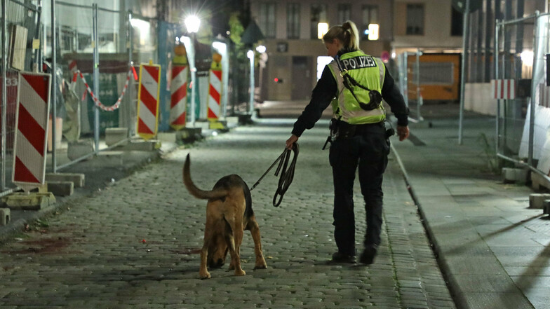 Am Tatort setzte die Polizei einen Hund bei der Spurensuche ein.