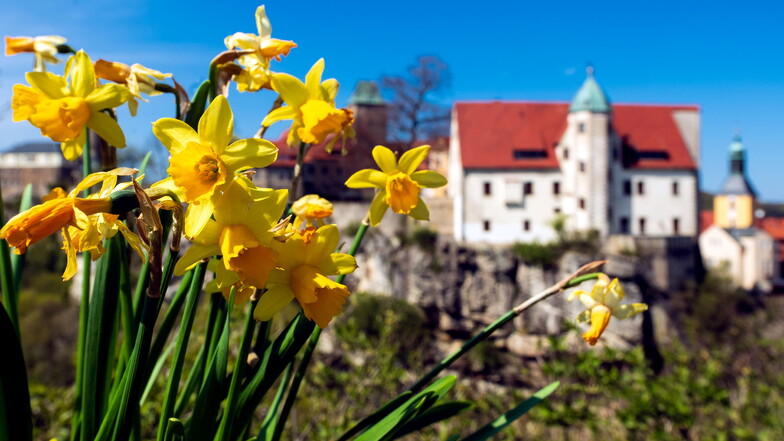 Im Jahr 1317 wurde die Burg Hohnstein erstmals urkundlich erwähnt.