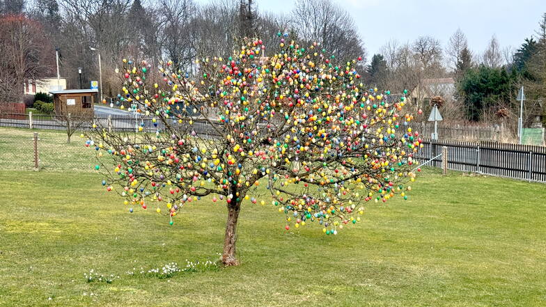 Der mit Eiern behängte Apfelbaum im Garten von Daniel Range in Niederoybin.