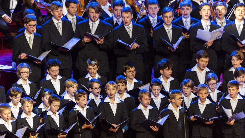 Die Kruzianer sind der populärste Chor in Dresden.