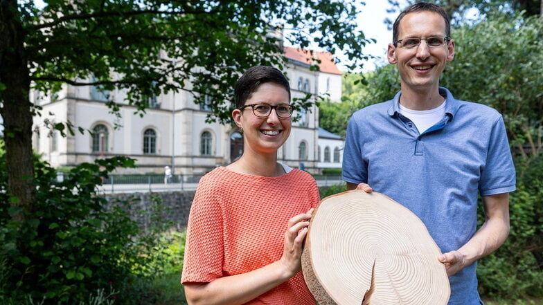 Marieke und Ernst van der Maaten erforschen in Tharandt das Wachstum der Bäume. Sie untersuchen Stammscheiben, Bohrkerne und sogar historische Holzkohle.