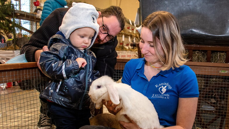 Lilly Werner holte für den erst einjährigen Kaninchenfreund Chris ein Tier aus dem Streichelgehege, das die Döbelner Züchter aufgebaut hatten.