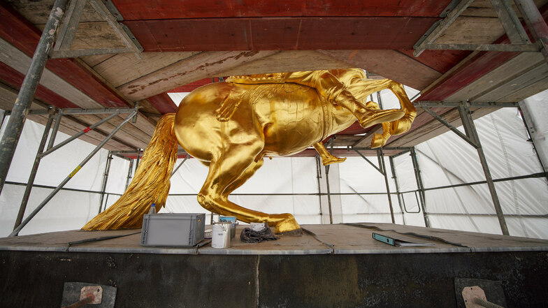 Den Goldenen Reiter in Dresden bekommen derzeit nur Restauratoren und Denkmalexperten zu sehen. Denn das Standbild ist eingerüstet und verhüllt.