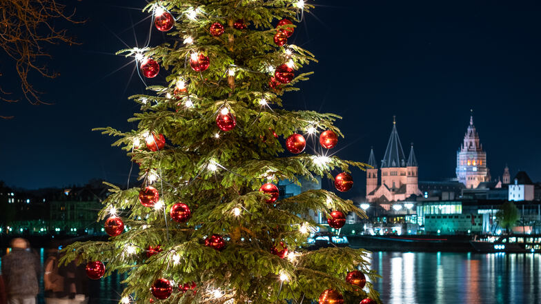 Weihnachtsbaum Mainz mit Kastel im Hintergrund