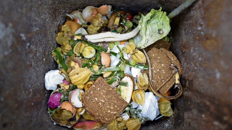 Lebensmittel liegen in einer Bio-Mülltonne. Deren Entleerung wird im Landkreis Meißen seit 2016 kostenlos angeboten.
