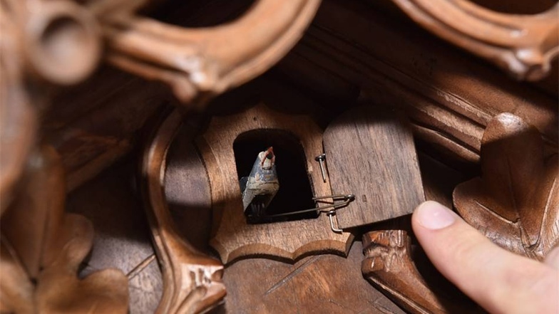 Uhr mit Kuckuck: Alle 30 Minuten zeigt sich dieser Kuckuck aus der Kuckucksuhr, die von einem Unbekannten um 1900 gefertigt wurde.