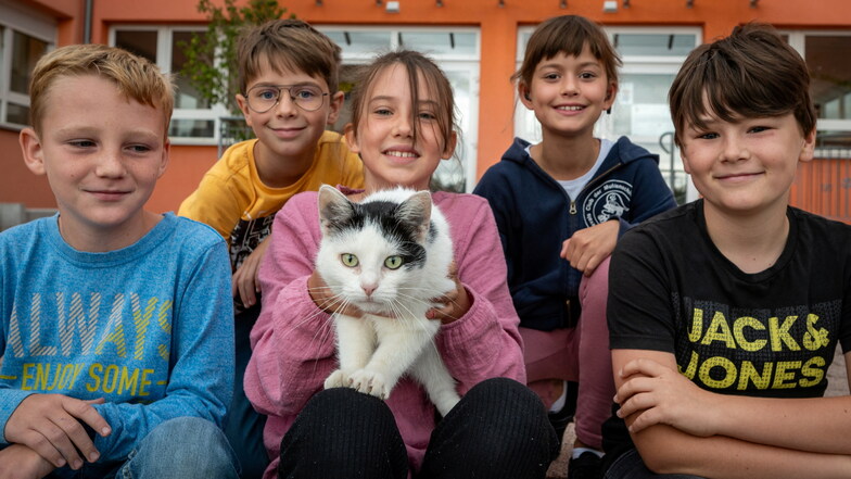 Leon (links), Louis, Mathilda, Marie und Lauritz freuen sich über Schulkatze Heidi und lassen ihr immer wieder Streicheleinheiten zukommen.