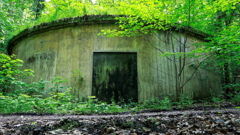 Einer der Bunker bei Hirschfelde, die von Denkmalschutzexperten des Freistaates jetzt unter die Lupe genommen wurden.