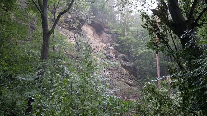 Ein geschätzt 50 Tonnen schwerer Sandstein-Felsen ist am Dienstagmorgen vom Hang oberhalb der Kirnitzschtalstraße abgebrochen und ins Tal gerollt.