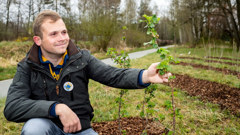 August Bierke von der Gemeinde Cunewalde freut sich schon jetzt auf die ersten Früchte, die Vorbeikommende auf der Naschwiese am Bahnhäusl Halbau künftig pflücken können.