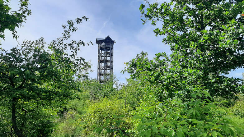 Der Haselbergturm erlaubt sowohl den Blick bis zum Dresdener Fernsehturm als auch zur Förderbrücke F 60 in Lichterfeld.