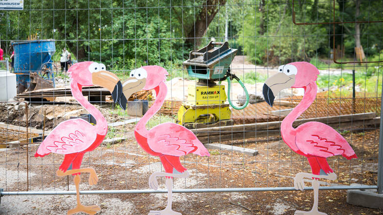 Die Bauarbeiten im Zoo laufen seit März und wurden durch die Corona-Krise nur kurz unterbrochen.