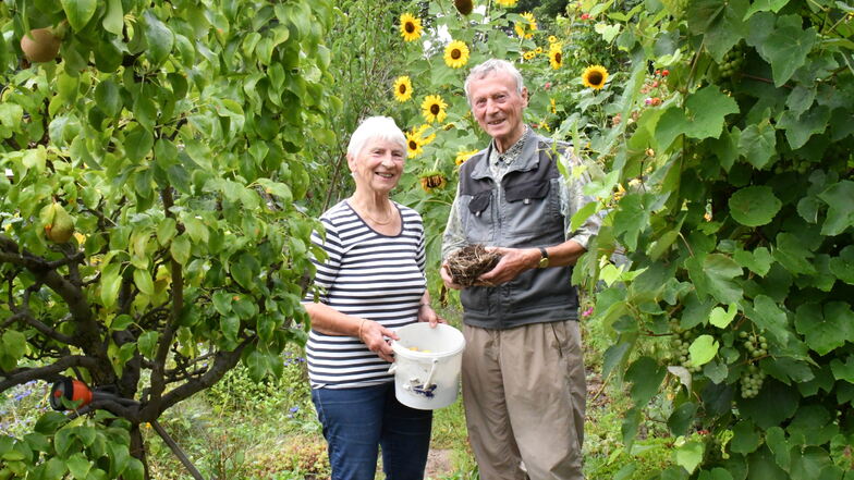 Gudrun und Hans Becker pflegen ihren Kleingarten in Trachenberge schon seit 34 Jahren. Im Sommer sind sie fast täglich hier - auch wegen der Gemeinschaft der Hobby-Gärtner.
