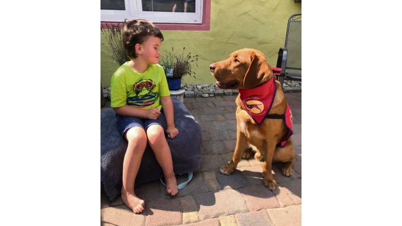 Ein Autismus-Hund soll Finn im Alltag helfen, seine Emotionen zu bewältigen. Er wäre außerdem der soziale Kontakt, der durch Freunde fehlt.