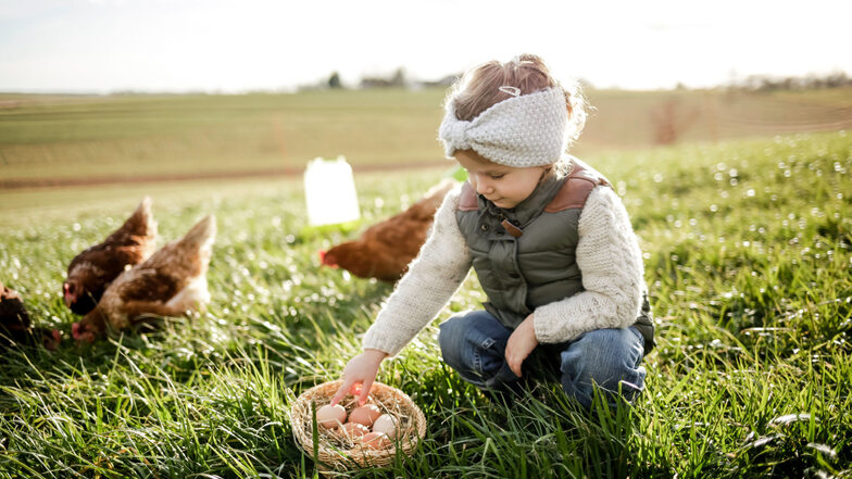 Wer eigene Hühner hält, darf sich über Bio-Eier freuen.