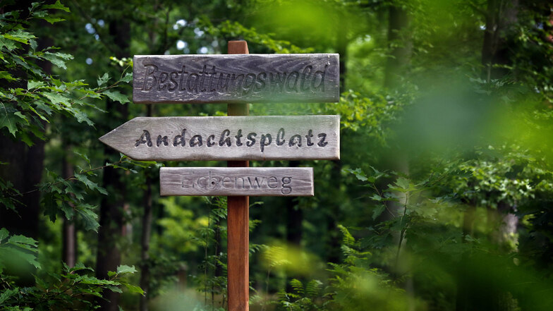 In Radebeul gibt es einen so genannten Friedwald schon länger. So in der Art könnte es bald auch auf dem Areal in Brauna aussehen.